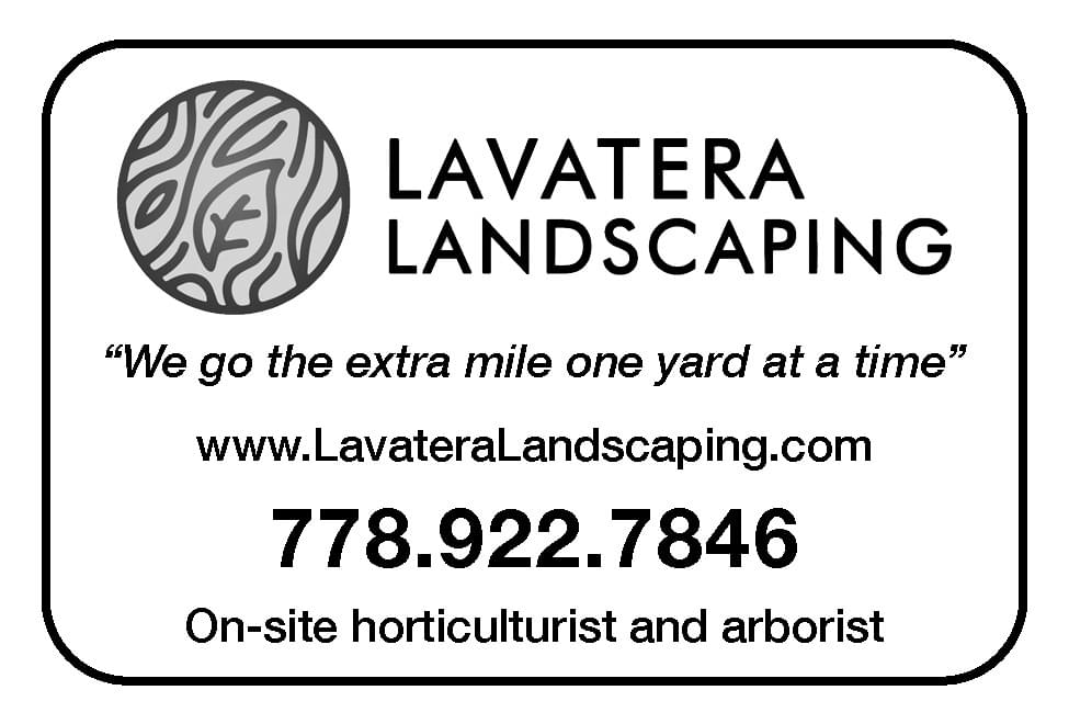 Lavatera Landscaping Ad in Coffee News