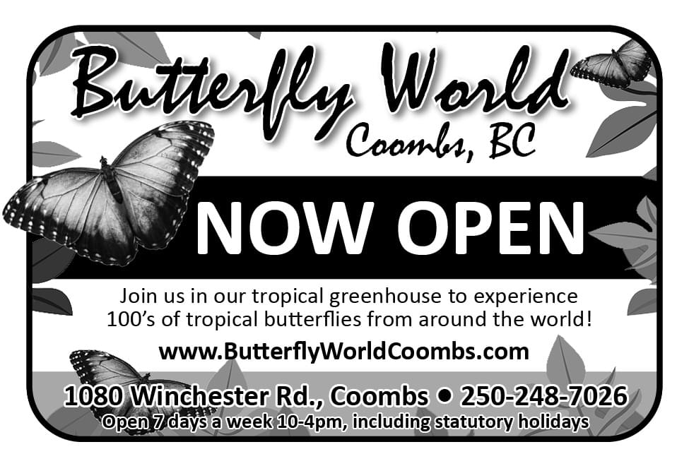 Butterfly World Coombs Ad in Coffee News