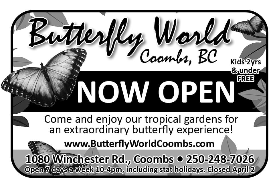 Butterfly World Coombs BC Ad in Coffee News