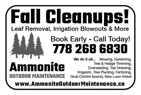 Ammonite Outdoor Maintenance Ad in Coffee News