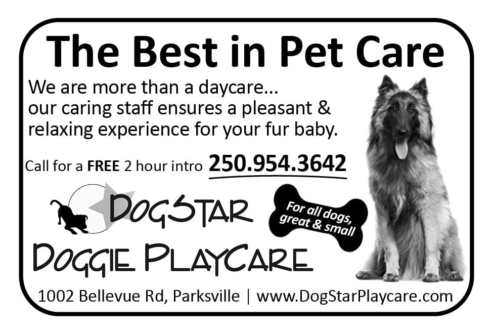 Dog Star Doggie Playcare Parksville BC Ad in Coffee News