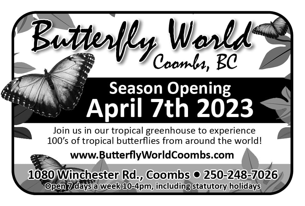 Butterfly World Coombs Ad in Coffee News