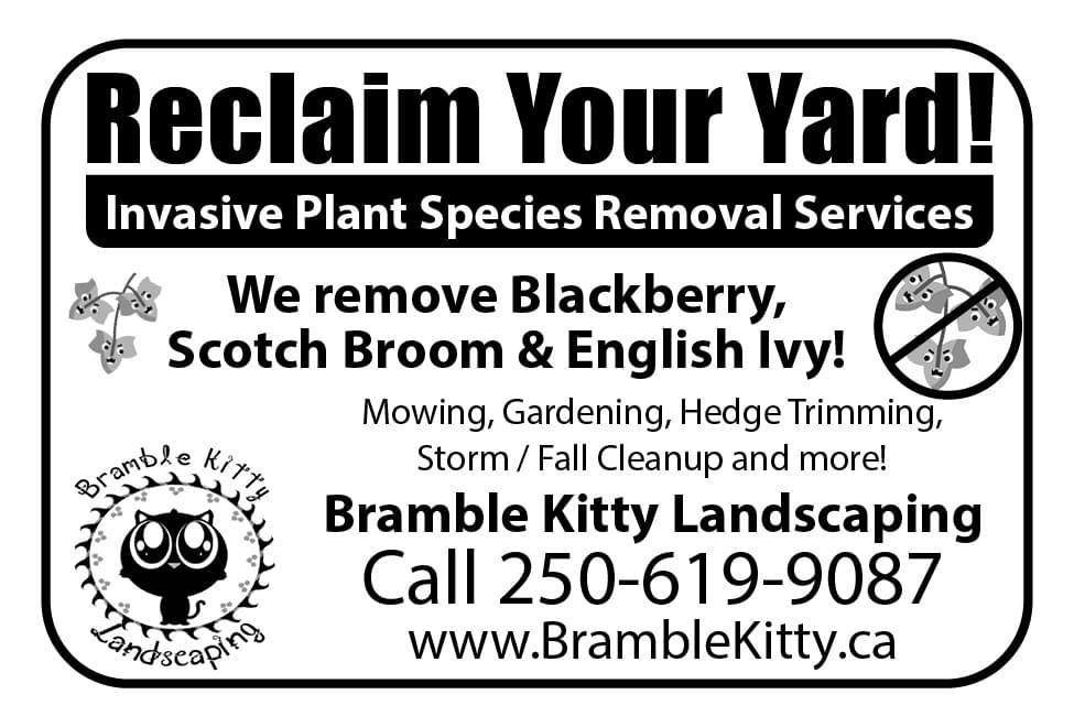 Bramble Kitty Landscaping ad in Coffee News