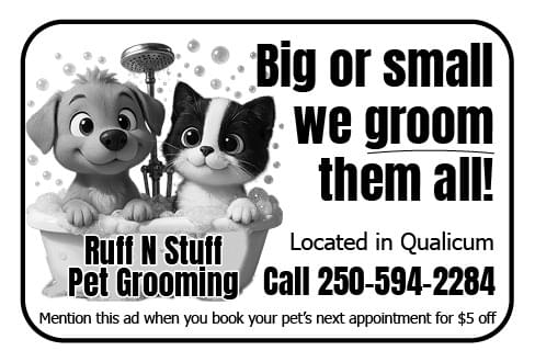 Ruff N Stuff Pet Grooming Qualicum Parksville BC Ad in Coffee News