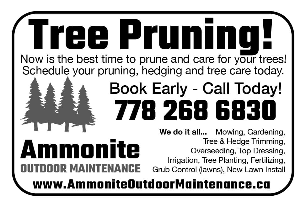 Ammonite Outdoor Maintenance Ad in Coffee News