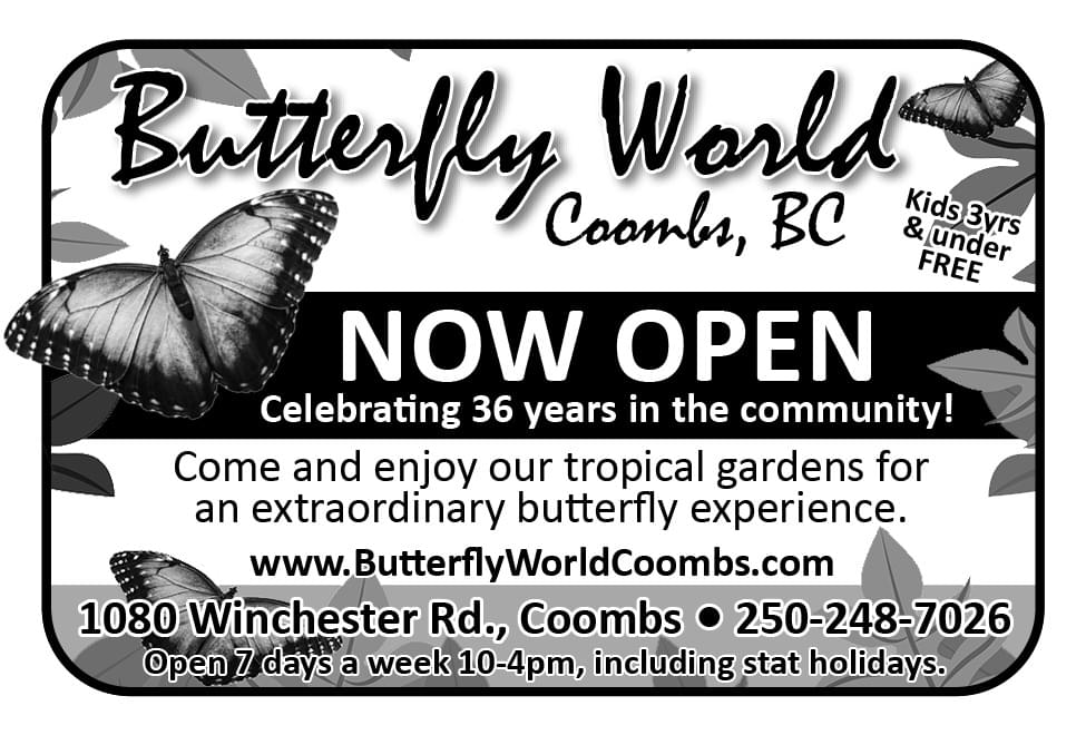 Butterfly World Coombs BC 2026 Ad in Coffee News
