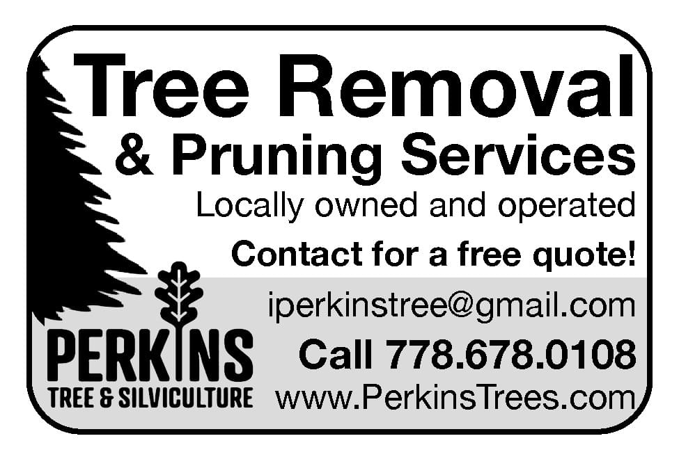 Perkins Tree Ad in Coffee News
