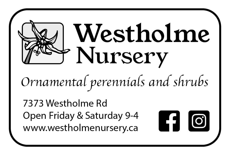 Westholme Nursery Duncan BC Ad in Coffee News