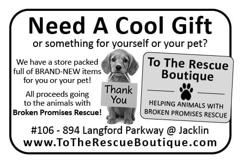 To The Rescue Boutique Broken Promises Langford BC Ad in Coffee News 
